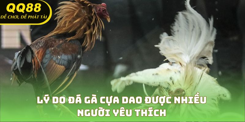 Ưu điểm của sảnh: livestream HD, lịch đấu dày đặc, payout nhanh